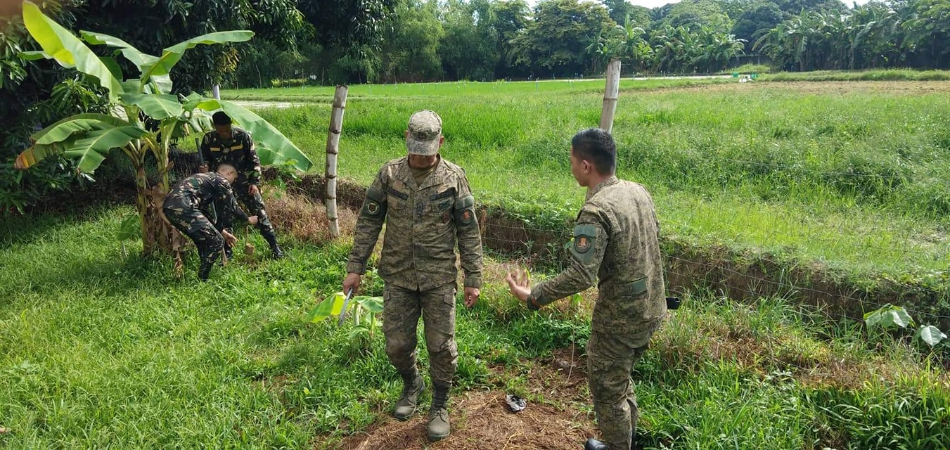 PSU Asingan Advance ROTC Cadets Conduct Tree Planting Activity ...